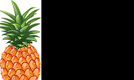 Pineapple Cake Lite