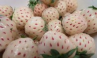 Nats Pineberry Cream