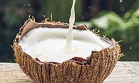 Coconut Milk