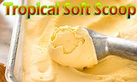 Tropical Soft Scoop