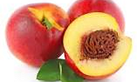 Nectarine TFA