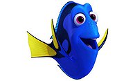 D.O.A Dory