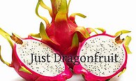 Just Dragonfruit