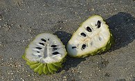 Custard Apple 